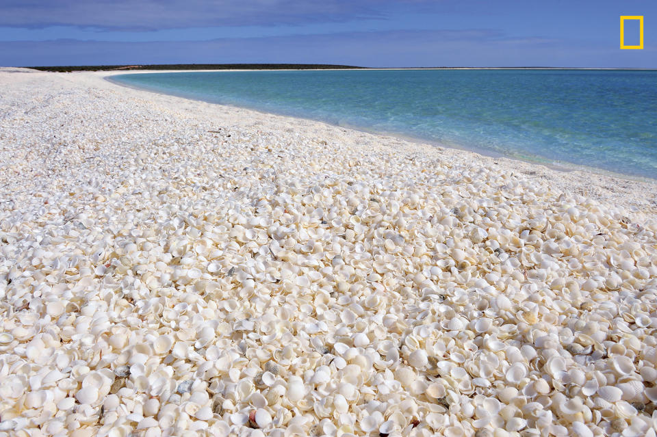 This <a href="http://www.nationalgeographic.com/travel/top-10/top-beaches-world/" target="_blank">UNESCO world heritage site</a>&nbsp;is a wonderland of tiny shells, which&nbsp;reach about <a href="http://www.australiascoralcoast.com/attractions-events/natural-wonders-of-the-coral-coast/shell-beach" target="_blank">32 feet deep</a> in some spots.