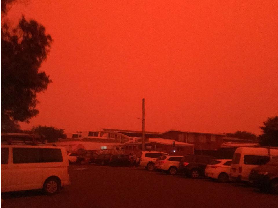 bushfires rosie