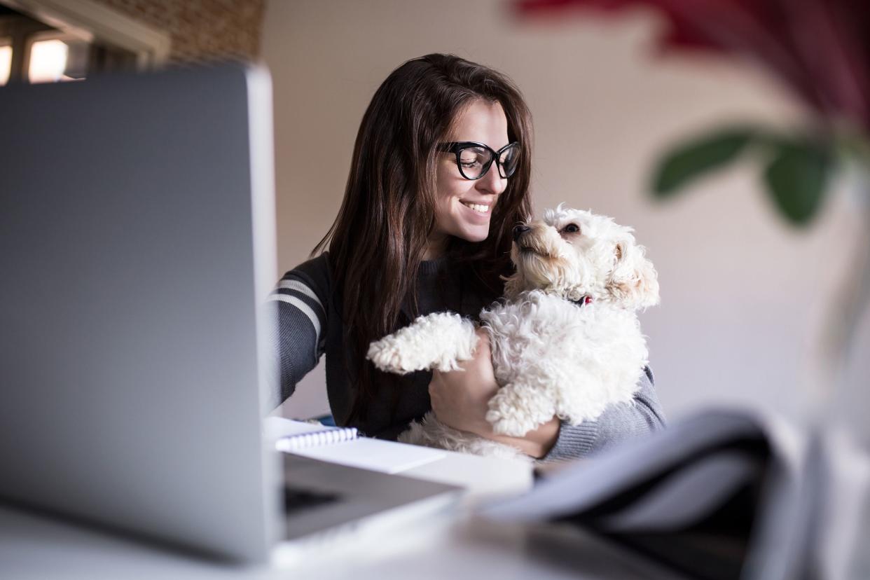 woman looking at her dog while at laptop
