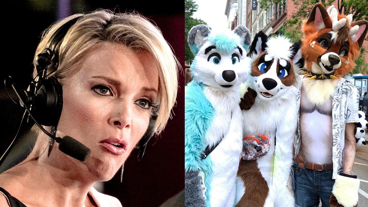 Megyn Kelly outlandish claims middle school student furries