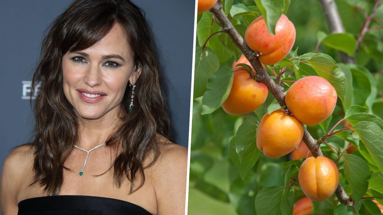  Jennifer Garner, apricots 