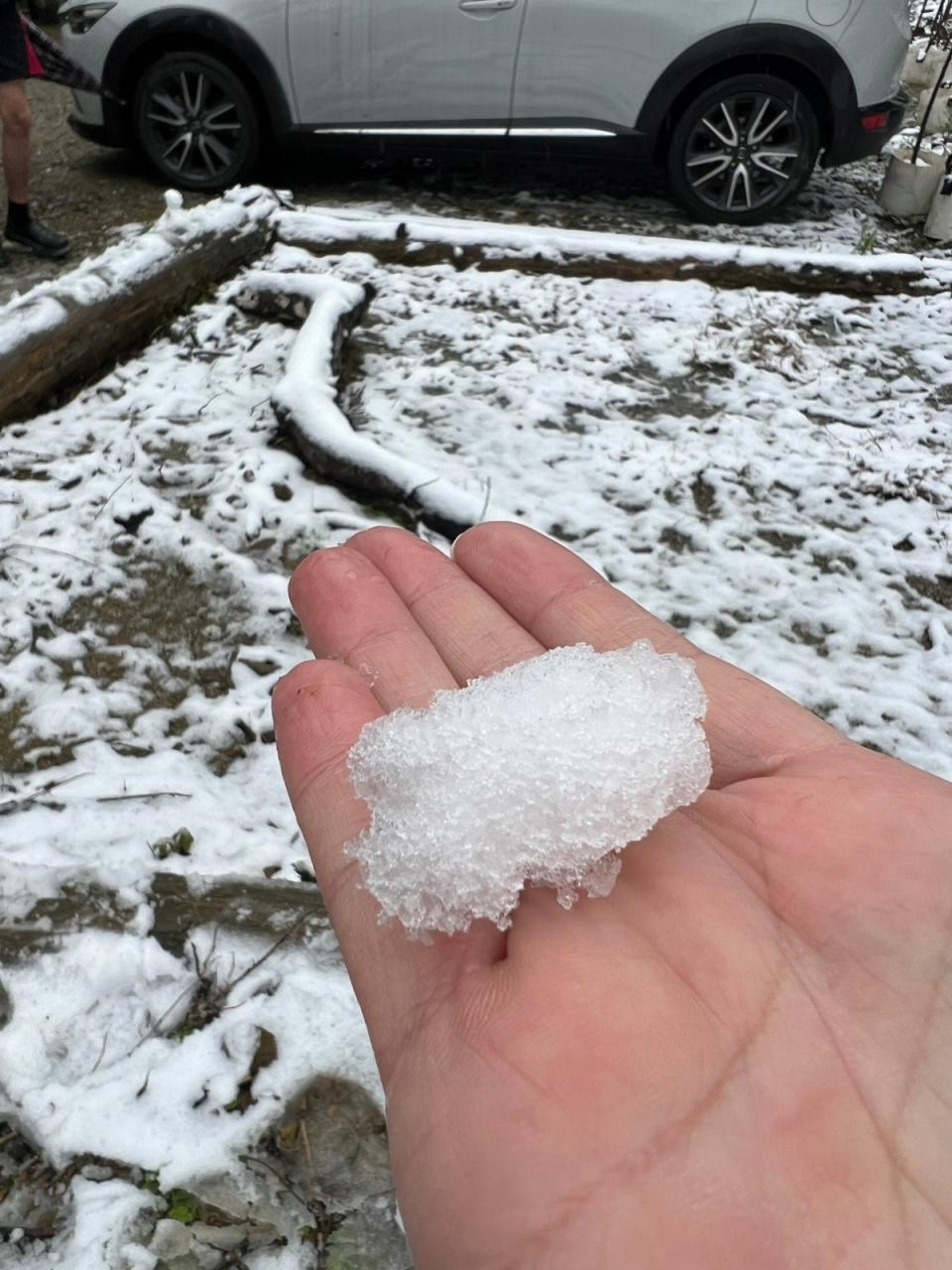 新北市三峽地區23日飄下瑞雪，銀白世界絕美。三峽警分局提供