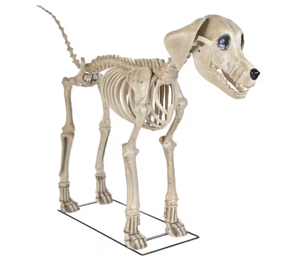 Skelly's Dog's jaw and ears are posable, and it weighs 42 pounds.