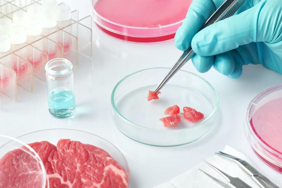 <span class="caption">An array of companies are working towards biologically identical, lab-grown meat.</span> <span class="attribution"><a class="link " href="https://www.shutterstock.com/image-photo/meat-sample-open-disposable-plastic-cell-1317402761" rel="nofollow noopener" target="_blank" data-ylk="slk:Shutterstock;elm:context_link;itc:0;sec:content-canvas">Shutterstock</a></span>