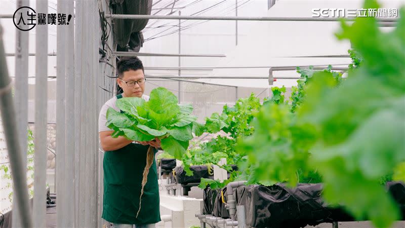 江啟峰改行做農業，一切從零開始，還得辛苦開墾山坡地，背後滿滿辛酸。（圖／記者羅正輝攝影）