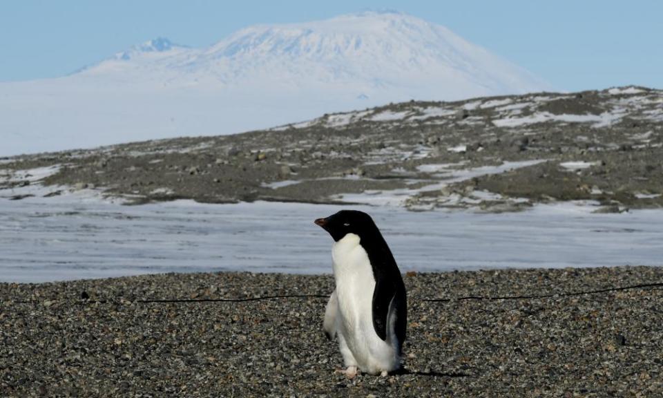 Antarctica