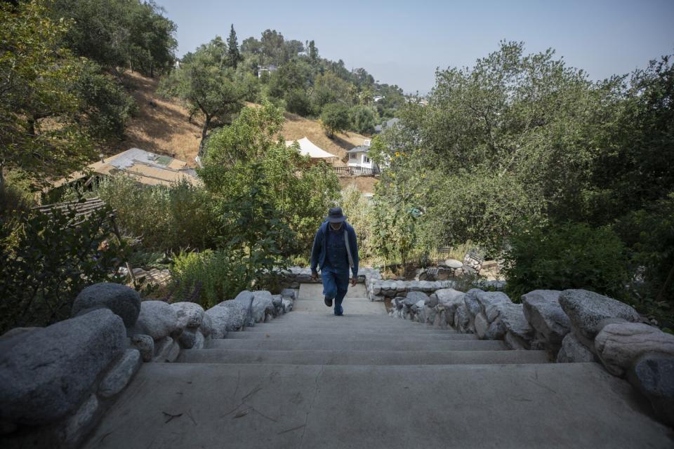 Steps lead up and down Bruce Schwartz's terraced yard full of California native plants.