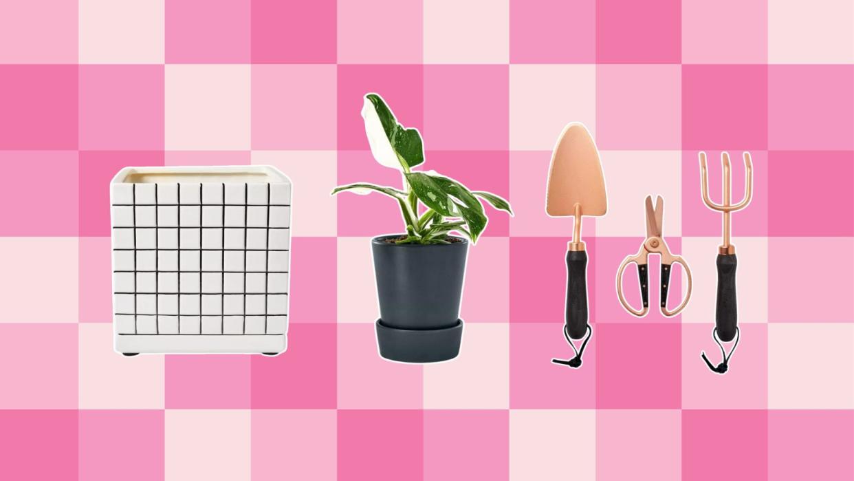  Hilton Carter Target line collection including a white and black checkered pot, a philodendron, and gardening tools on a pink checkered background. 