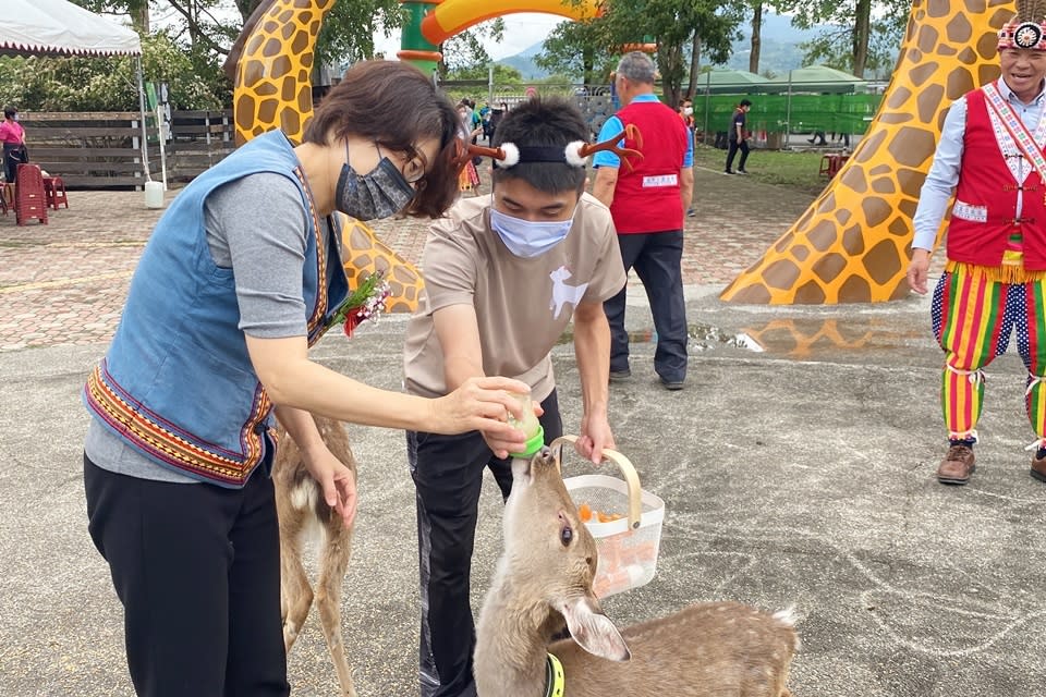 臺東鹿野鄉「梅花鹿公園」21日開幕，縣長饒慶鈴(左)出席並體驗餵食與餵奶，直呼「好療癒」。