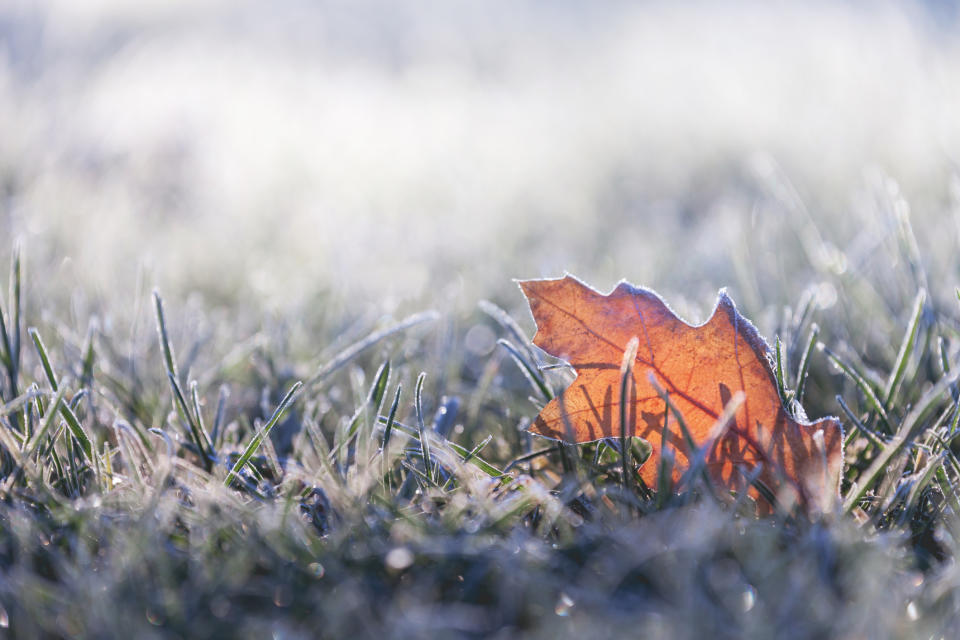 Im Bauernkalender markiert der 16. Oktober den Beginn des Winters. (Symbolbild: Getty Images)