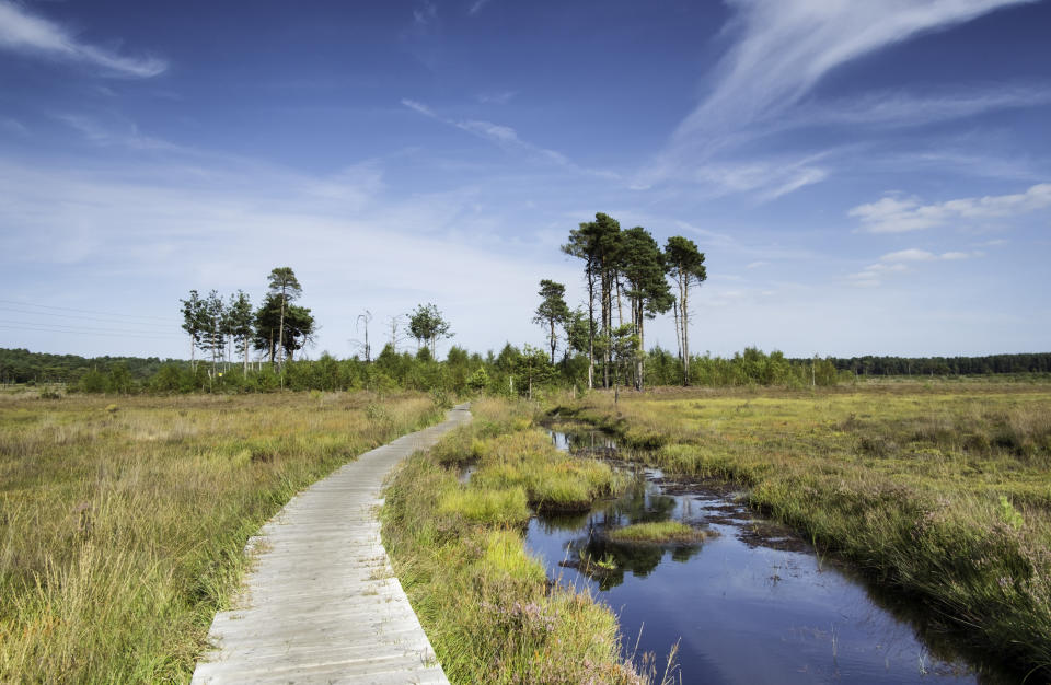 <p><span>Another Surrey entry in the top 10 was Surrey Heath. The rural district prides itself on the Latin motto “festina diligenter”, or “make haste quickly”. [Photo: Getty]</span> </p>