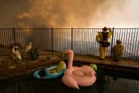 <p>Firefighters near a backyard pool monitor flames threatening homes during the Holy Fire in Lake Elsinore, Calif., Aug. 9, 2018. (Photo: David McNew/EPA-EFE/REX/Shutterstock) </p>