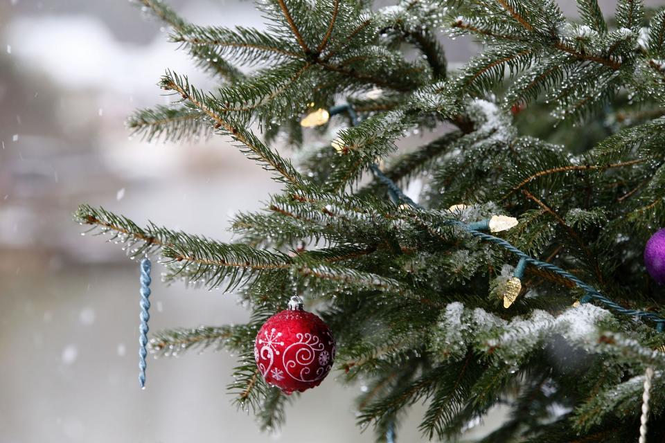 Snow begins to accumulate on a Christmas tree along South Main Street in Allentown Monday morning, December 2, 2019.