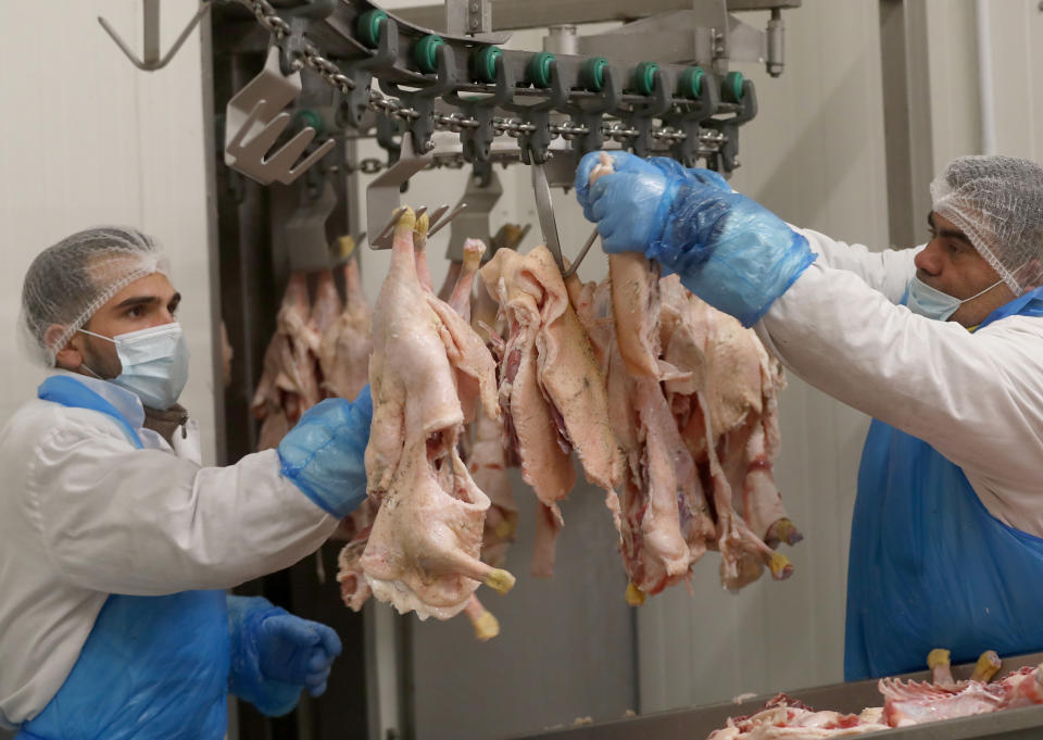 Staff work on the production line of Kosher poultry meat in a Kosher slaughterhouse in Csengele, Hungary on Jan. 15, 2021. Hungarian Jewish community, exporter of Kosher meat, fear that the European Court of Justice verdict on upholding a Belgian law that banned ritual slaughter could have an affect on other EU member states' regulation on Kosher slaughter. Animal rights groups that pushed for the Flanders law argue that ritual slaughter without stunning amounts to animal cruelty. (AP Photo/Laszlo Balogh)