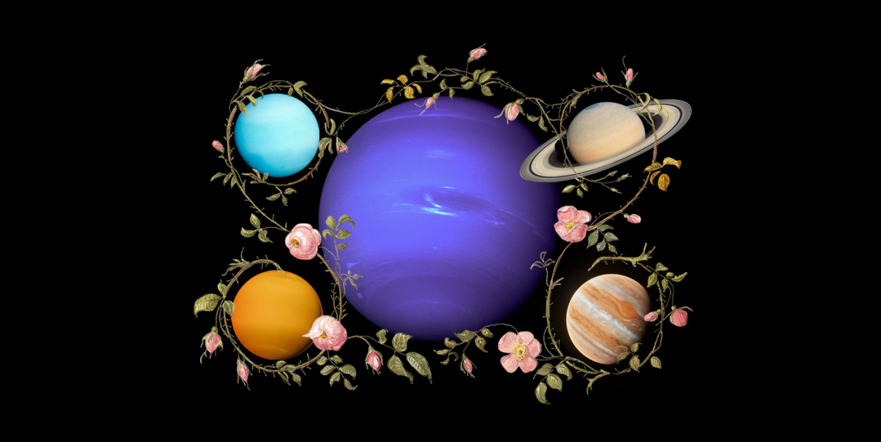 planets surrounded by flowers and vines