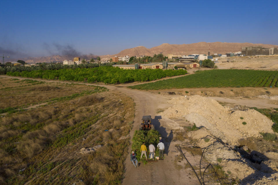 Palestinian farmers ride on a truck loaded with eggplants near the West Bank city of Jericho in the Jordan Valley, Tuesday, June 30, 2020. Israeli Prime Minister Benjamin Netanyahu appears determined to carry out his pledge to begin annexing parts of the occupied West Bank, possibly as soon as Wednesday. (AP Photo/Oded Balilty)