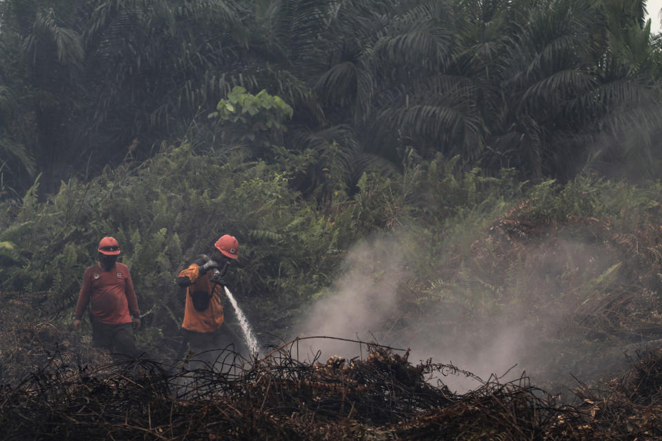 Firefighters try to extinguish brush fires in Pekanbaru, Riau province, Indonesia, Saturday, Sept. 14, 2019. Nearly every year, Indonesian forest fires spread health-damaging haze across the country and into neighboring Malaysia and Singapore. The fires are often started by smallholders and plantation owners to clear land for planting.(AP Photo)