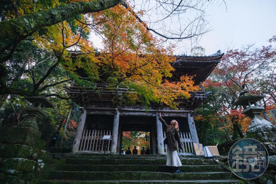 楓紅景致是吸引許多遊客特地前往「竹林寺」的原因之一。