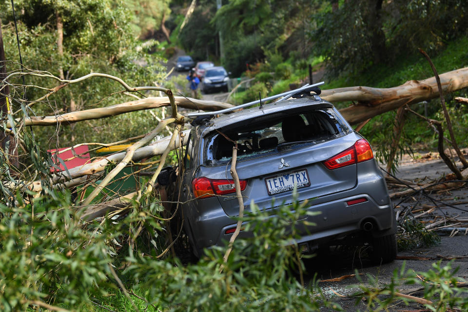 Fallen trees from wild winds have killed three people in Victoria overnight, including a 4-year-old boy. Source: AAP