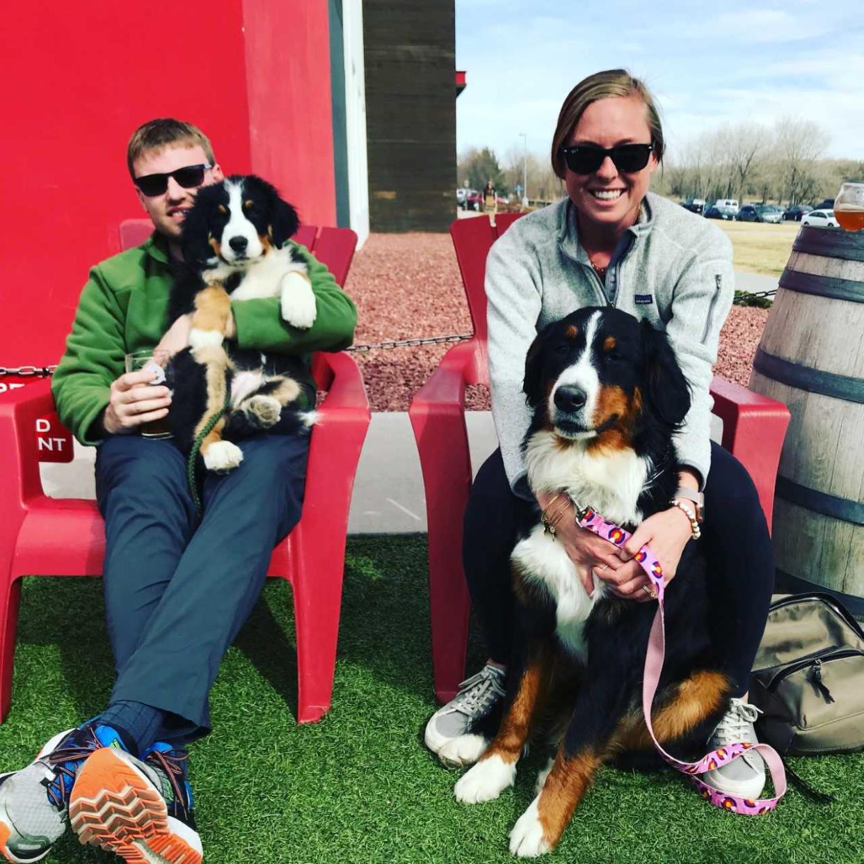 Kyle and Megan Casey hope to open Paws and Pints next year. They recently visited a brewery in Boulder, Colorado, with their Bernese mountain dogs Porter (left) and Kora.