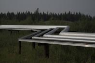 Tubing transporting gas, steam and oil emulsion stand above the vegetation to allow for animals to pass underneath at Cenovus' Sunrise oil facility northeast of Fort McMurray on Thursday, Aug. 31, 2023. (AP Photo/Victor R. Caivano)