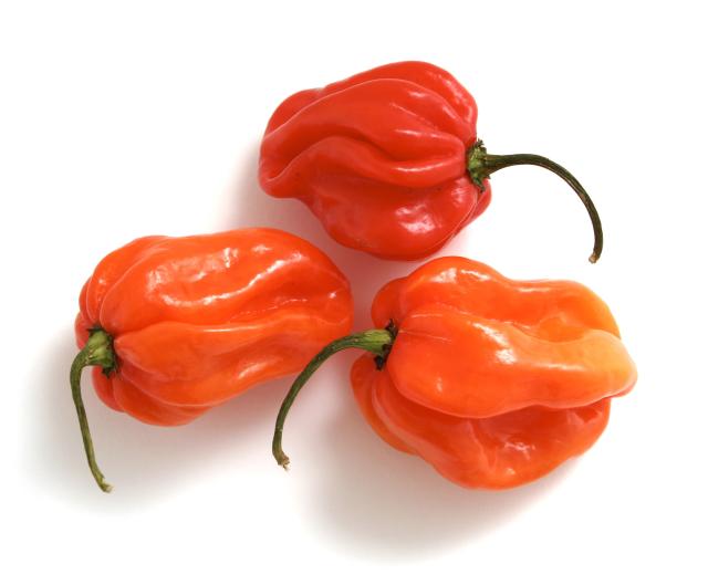 Types of Peppers - 10 Different Kinds of Peppers and Their Uses