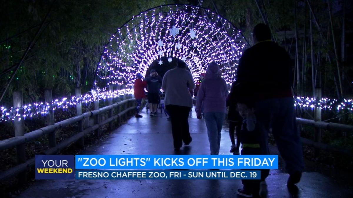 'Zoo Lights' returns to Fresno Chaffee Zoo this Friday [Video]