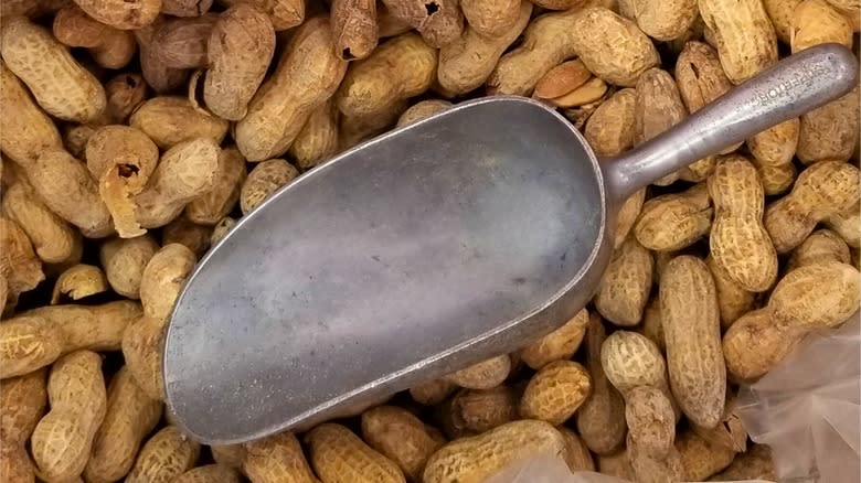 Peanuts with big metal scoop