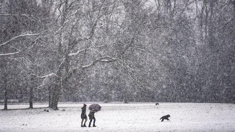 Zwei Menschen gehen bei Schneetreiben mit einem Hund durch den winterlichen Huthpark im Nordosten von Frankfurt/Main.