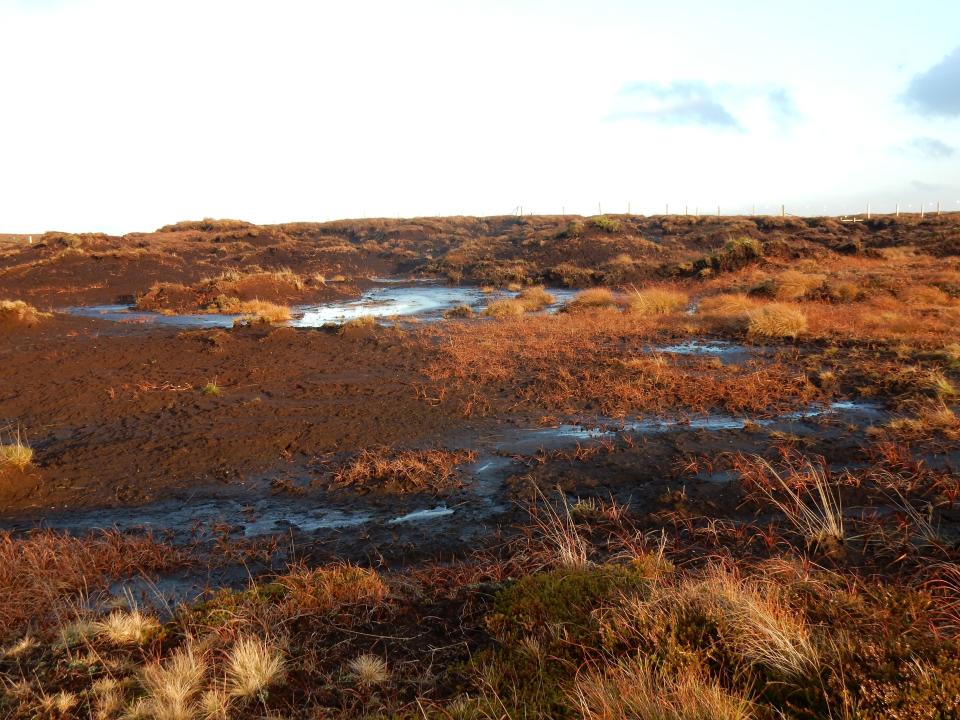 Degraded peatland which can emit 30 tonnes of CO2 per hectare per year while the average family car emits just four tonnes of CO2 a year (Beth Thomas/Wildlife Trusts)