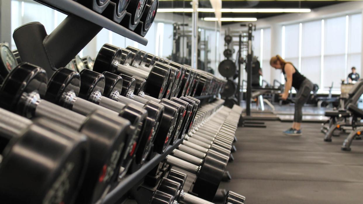 weights lined in a row at a gym