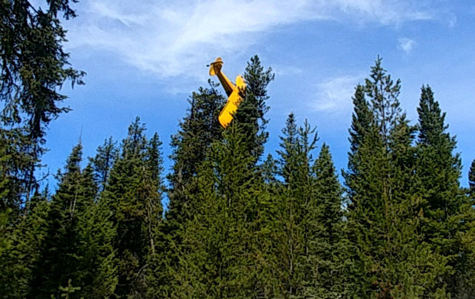 This undated photo provided by the Valley County Sheriff's Office shows a small plane where it came to rest at the top of a tree near the resort town of McCall, Idaho. Pilot John Gregory was not hurt in the crash Monday night, April 22, 2019, which happened when his single-engine Piper Cub PA-18 lost power and a wing strut became entangled in the the top of a 60-foot (18-meter) tree as he was trying to crash-land in a field, officials said. Gregory was rescued from his perch atop the giant white fir by volunteer firefighter Randy Acker, who owns a tree-removal company. (Undersheriff Jason Speer/Valley County Sheriff's Office via AP)