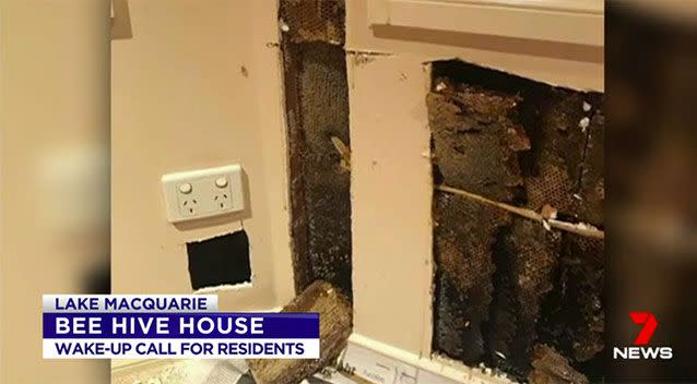 The house will need renovating. Source: 7 News