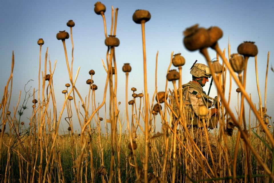 A Marine walks through a field