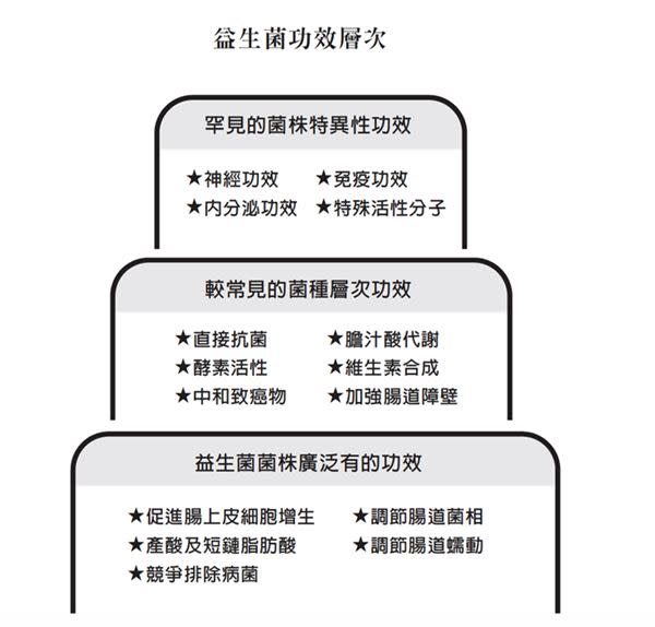 益生菌大解析！益生菌功能演進分4代，讓專家帶你一次看懂