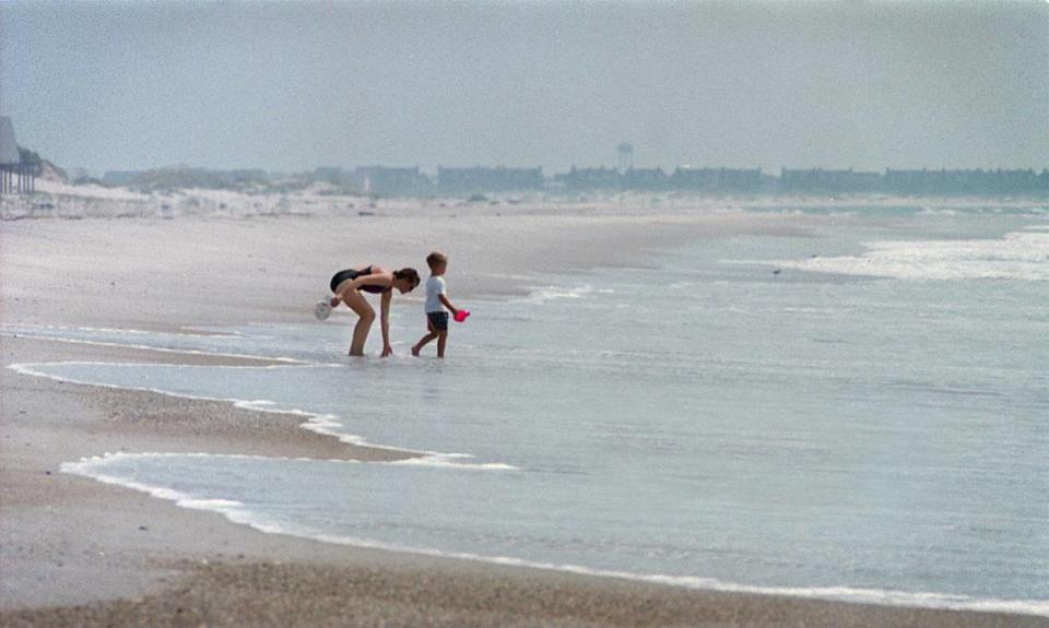 The tiny larvae of a thimble jellyfish can cause an itchy rash sometimes called “sea lice” for swimmers along the coast.