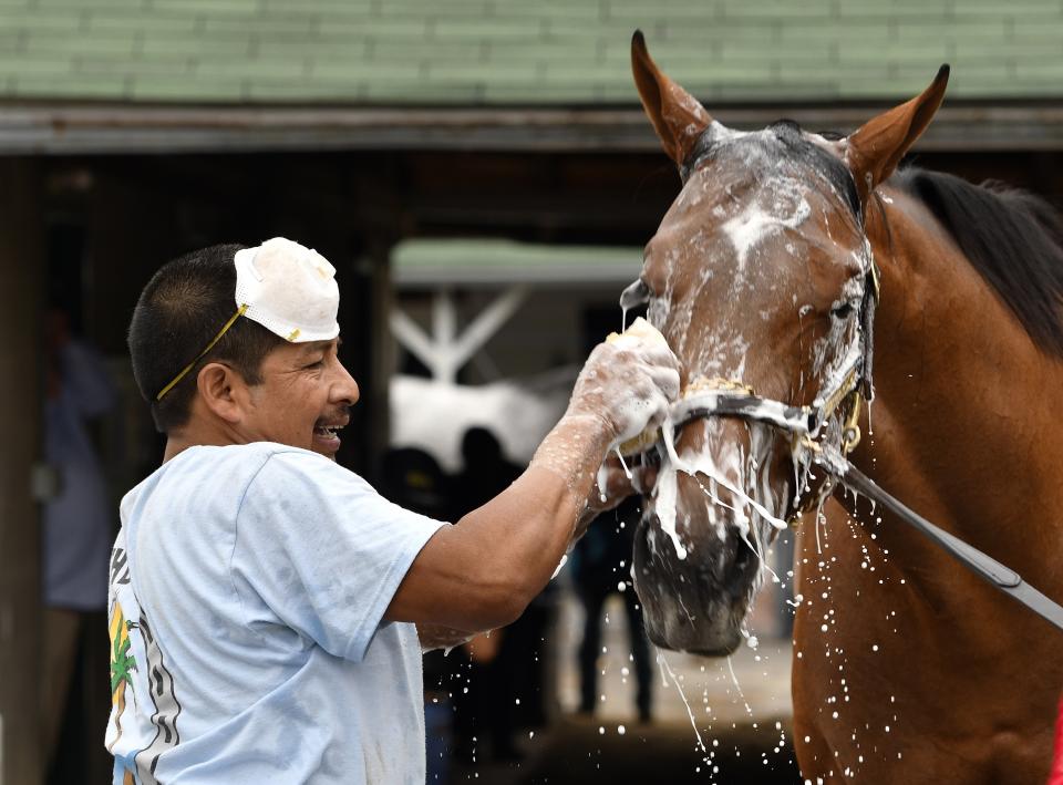 El guatemalteco César Abrego baña a un caballo del preparador Dale Romans en el Churchill Downs de Kentucky el 19 de abril del 2017. Abrego viaja todos los años a EEUU con una visa temporal de trabajo H-2B. El hipismo de EEUU depende de la mano de obra extranjera y podría sufrir de una fuerte escasez de personal por las políticas inmigratorias de Donald Trump, que suspendió la entrega de esas visas, y la pandemia del coronavirus. (AP Photo/Timothy D. Easley)