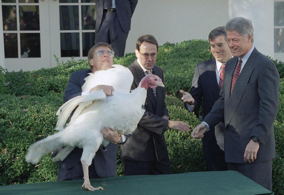 President Bill Clinton looks on as Robert Strickler holds Tom, a 50-pound turkey presented to the president in the Rose Garden of the White House in Washington on Nov. 23, 1994. Stuart Proctor, president, National Turkey Federation, second from left, and Larry Fanella of the NTF, second from right, look on. The president pardoned Tom who will take up residence at the Frying Pan Park in Chantilly, Va. (Photo: Wilfredo Lee/AP)