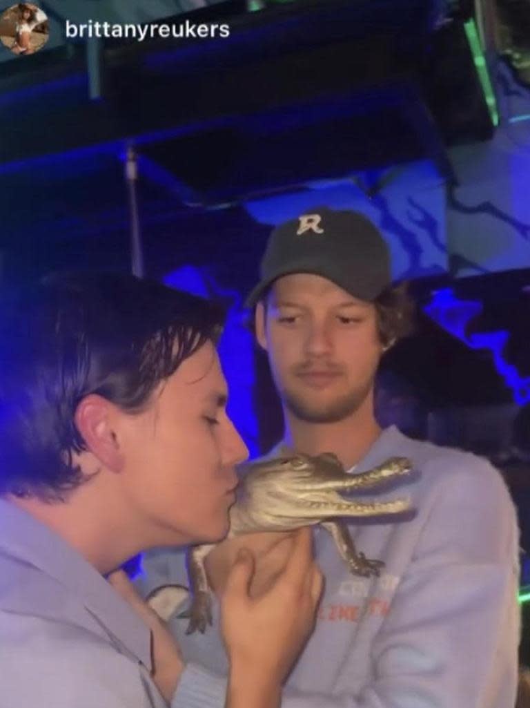 A Melbourne bar has been slammed for bringing live reptiles to its relaunch on the weekend, with photos showing influencers holding snakes and baby crocodiles sending Instagram into uproar. Picture: Instagram