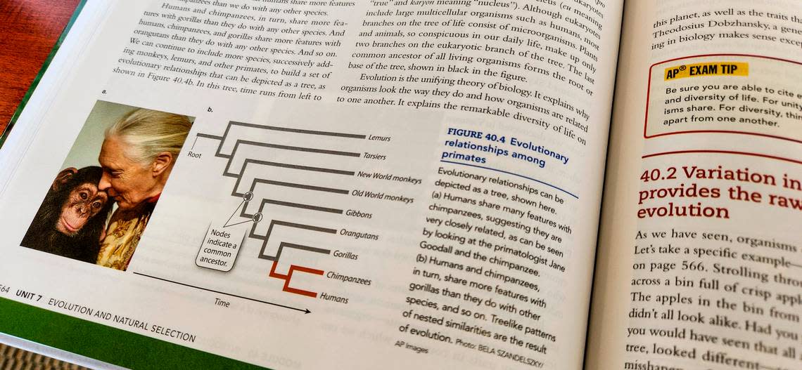 A page on evolutionand natural selection from “Biology for the AP Course” as seen on Oct. 13, 2022 at the USCB Bluffton campus. While all of the materials haven’t been delivered, the material will be available until Nov. 14, 2022.