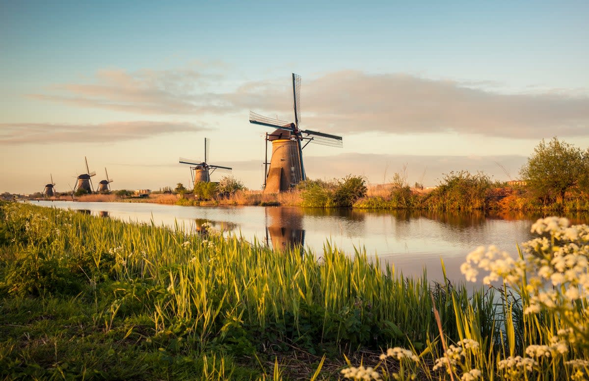 Windmills in Kinderdijk, Netherlands (Getty Images)