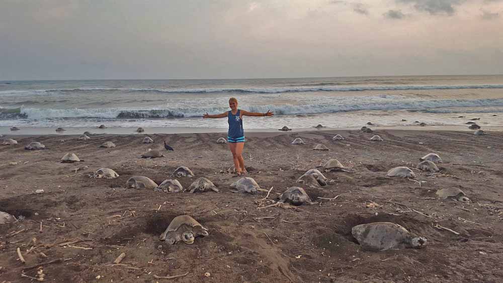 Marine Biologist Whose Video Showed Straw Being Removed From Turtle Has  Another Message For The World