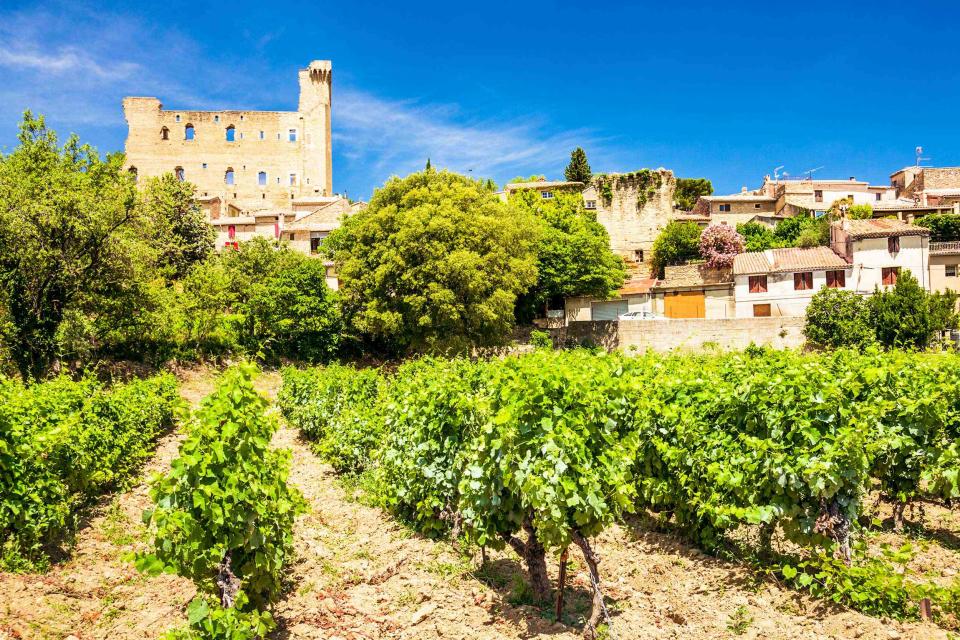 <p>Michal Krakowiak / Getty Images</p> French vineyard