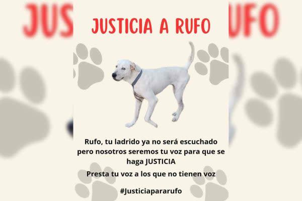 justicia Ruffo Yucatan