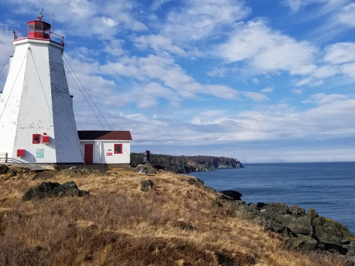 Cash-only businesses on Grand Manan will not have a bank to get change from this summer. The Scotiabank branch on the island will close on Aug. 24. (Shane Fowler/CBC - image credit)