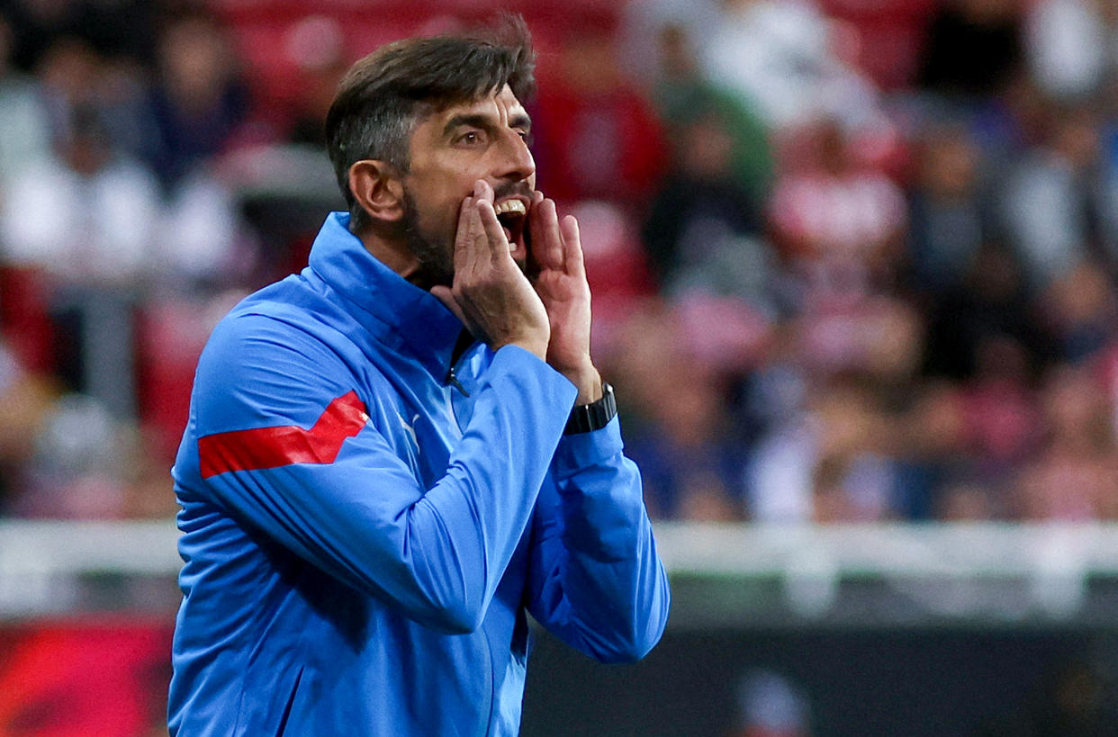 Veljko Paunovic en noviembre pasado en un partido entre Chivas y Cruz Azul. (ULISES RUIZ/AFP via Getty Images)