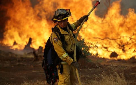 Some 3500 firefighters are trying to contain the flames - Credit: Marcio Jose Sanchez/AP