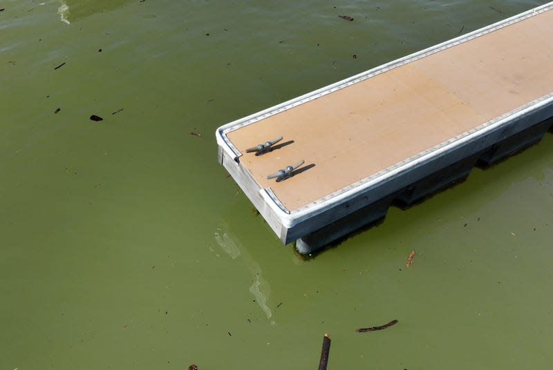 A dock floats in the Browns Ravine Cove area of Folsom Lake in Folsom, California on March 26, 2023.