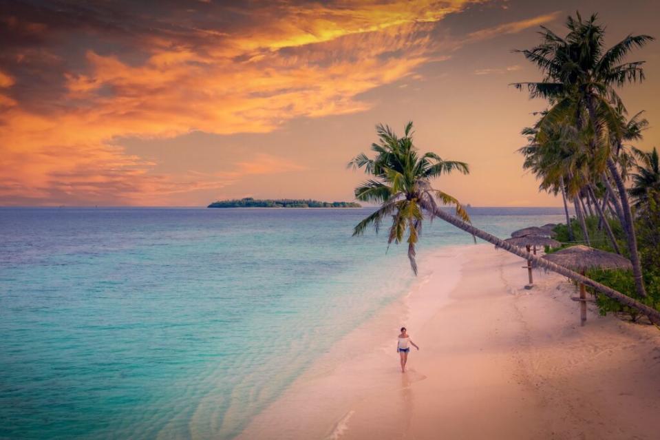 A beach in Maldives. Walkerssk / Pixabay