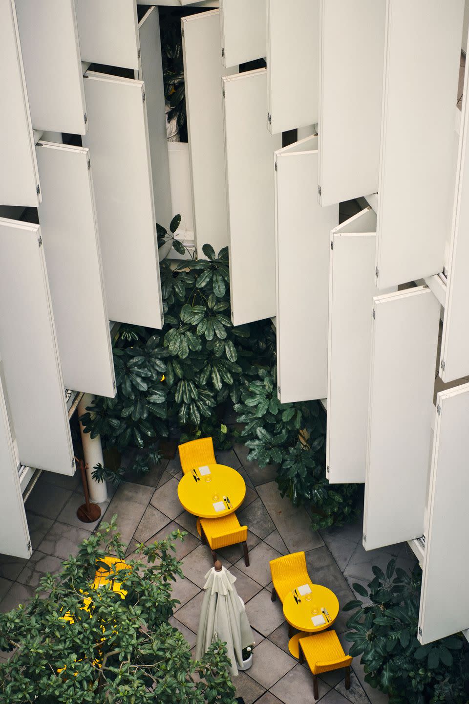 a couple of chairs and a plant outside a white building